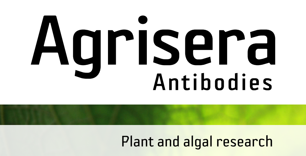 Agrisera MicroRNA相關研究植物蛋白抗體火熱促銷中！